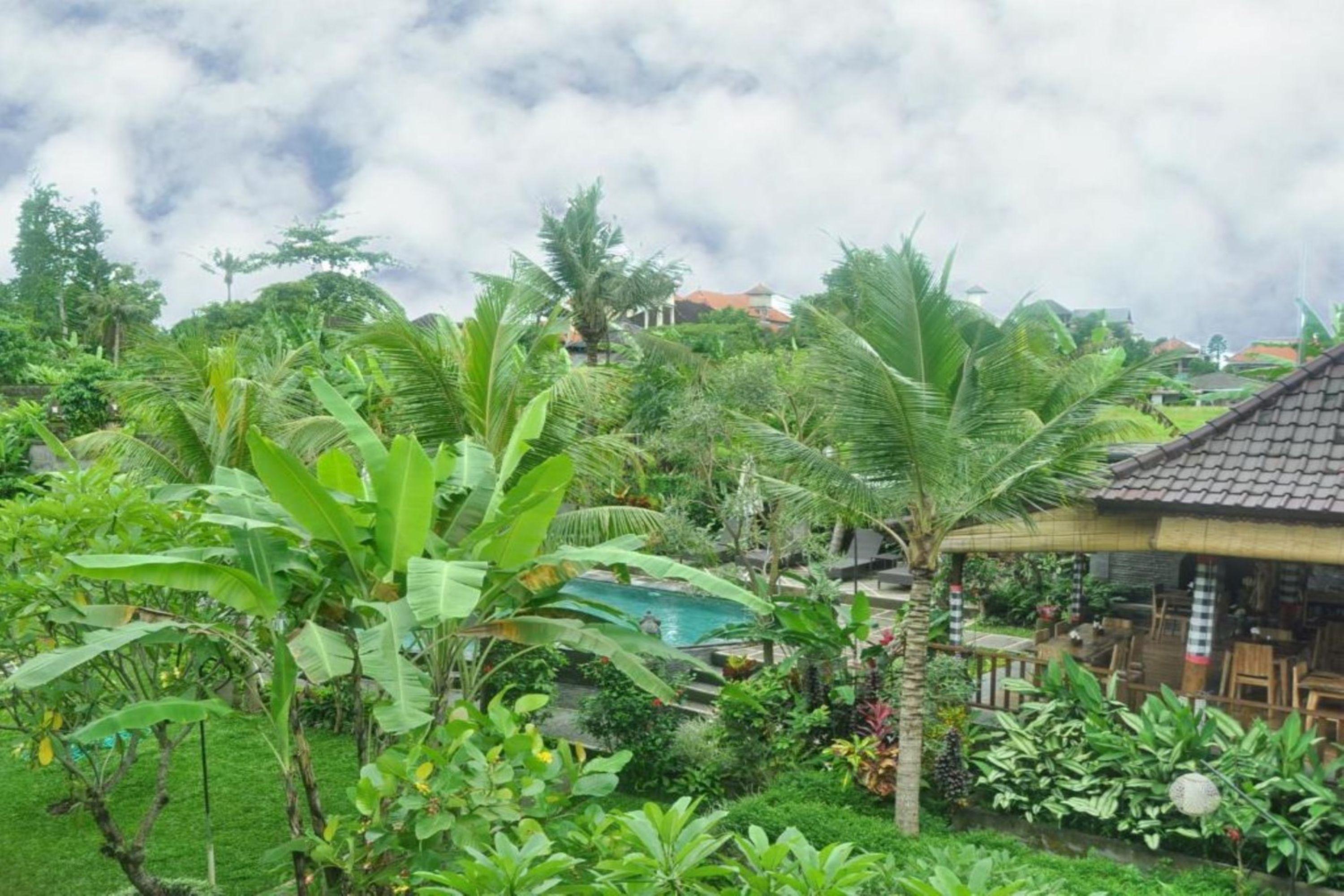 Bucu Guest House Ubud Exterior foto