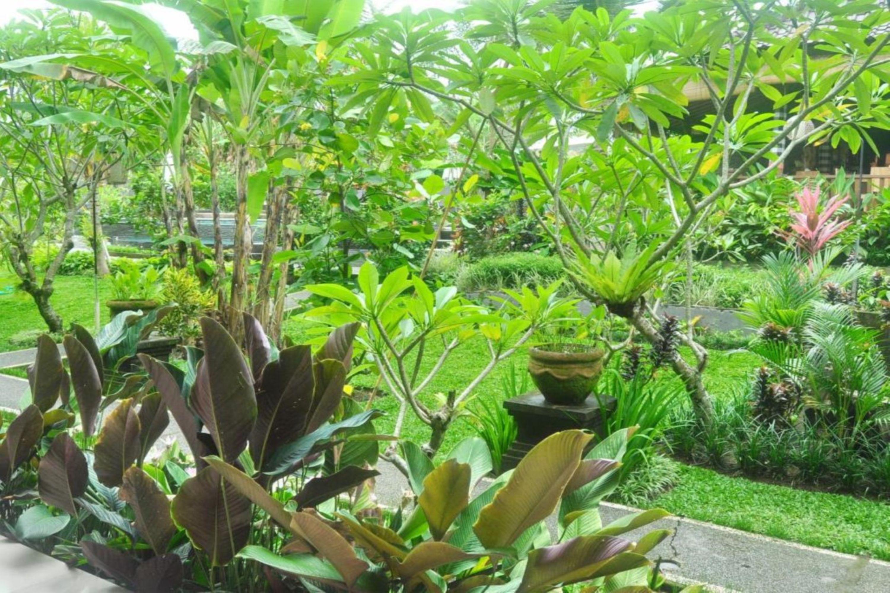 Bucu Guest House Ubud Exterior foto