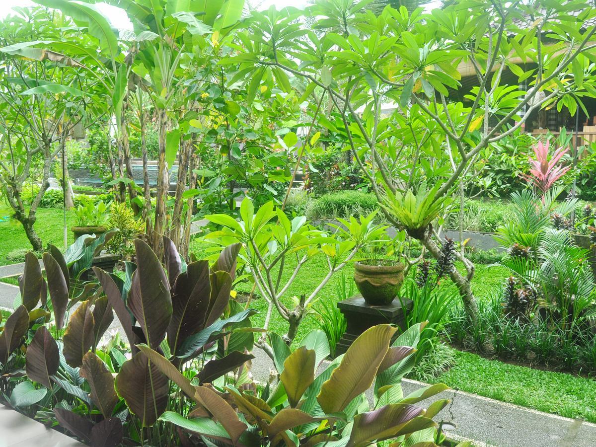 Bucu Guest House Ubud Quarto foto
